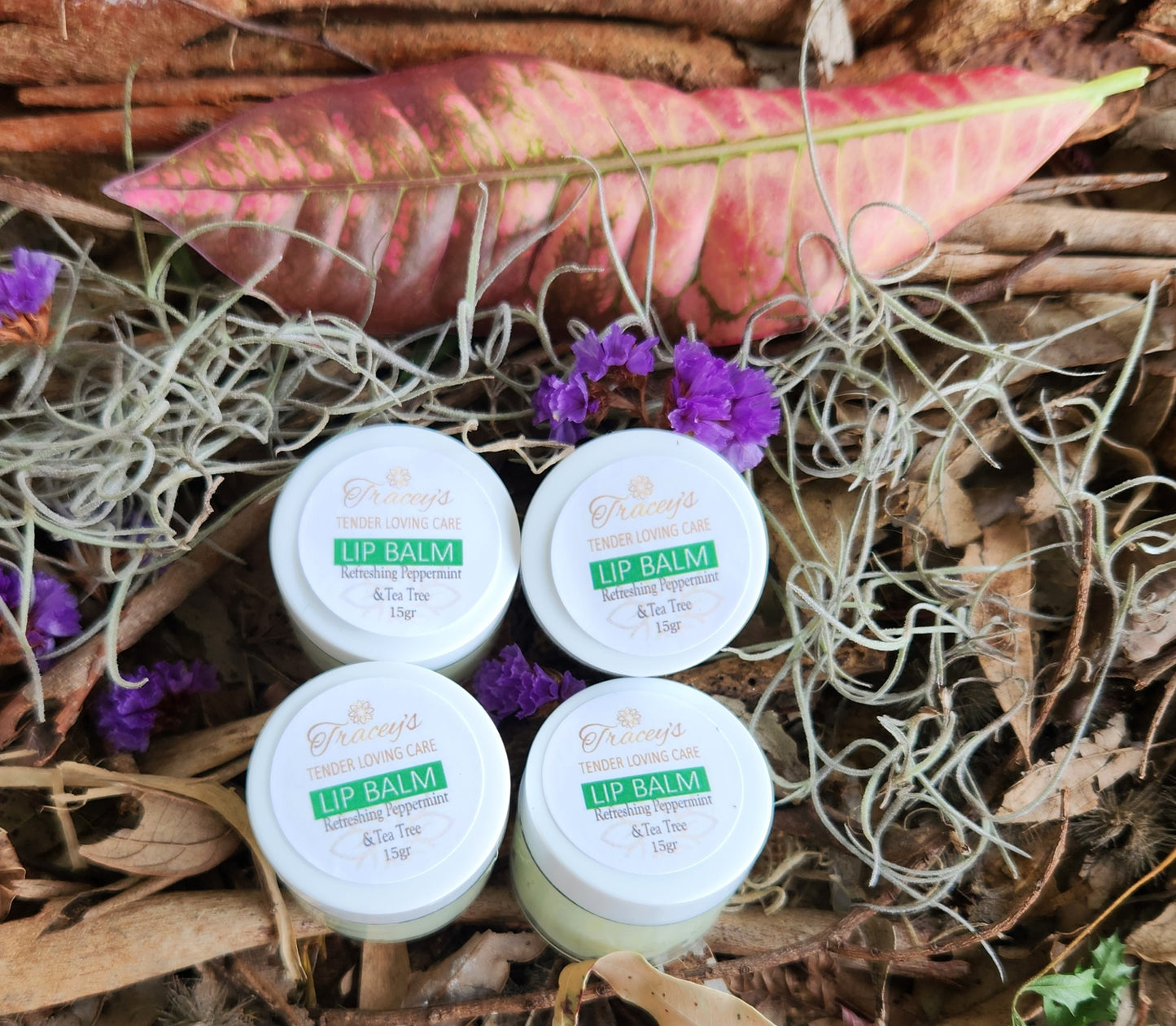 Lip Balm
